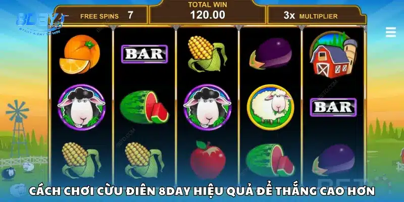 Cách chơi Cừu Điên 8day hiệu quả để thắng cao hơn