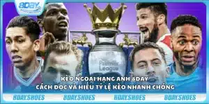 Kèo Ngoại Hạng Anh 8day – Cách đọc và hiểu tỷ lệ kèo nhanh chóng