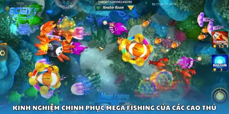 Kinh nghiệm chinh phục Mega Fishing của các cao thủ