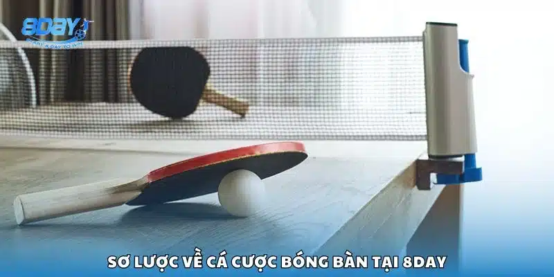 Sơ lược về cá cược bóng bàn tại 8day