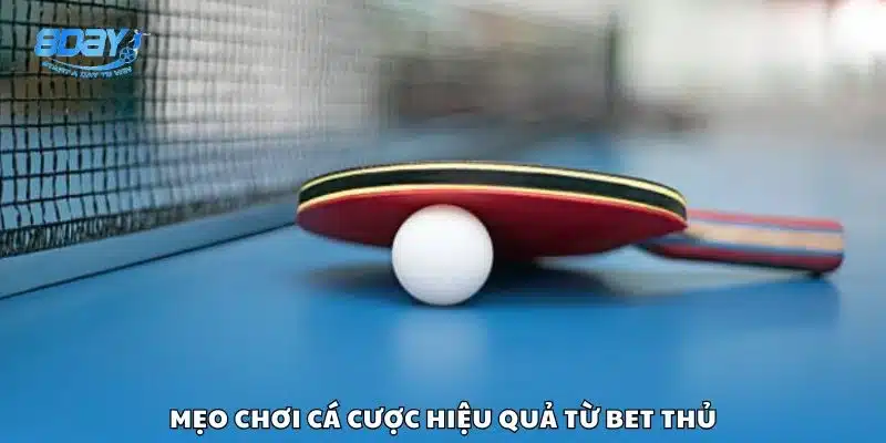 Mẹo chơi cá cược hiệu quả từ bet thủ