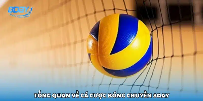 Khám phá cách cá cược bóng chuyền trên 8Day