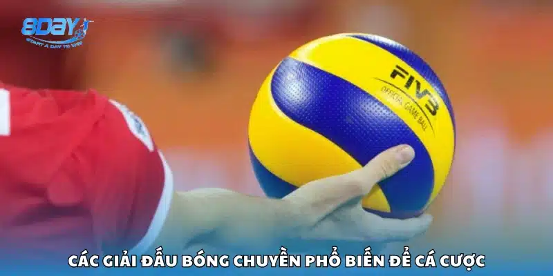 Những giải bóng chuyền hay được chọn để cược