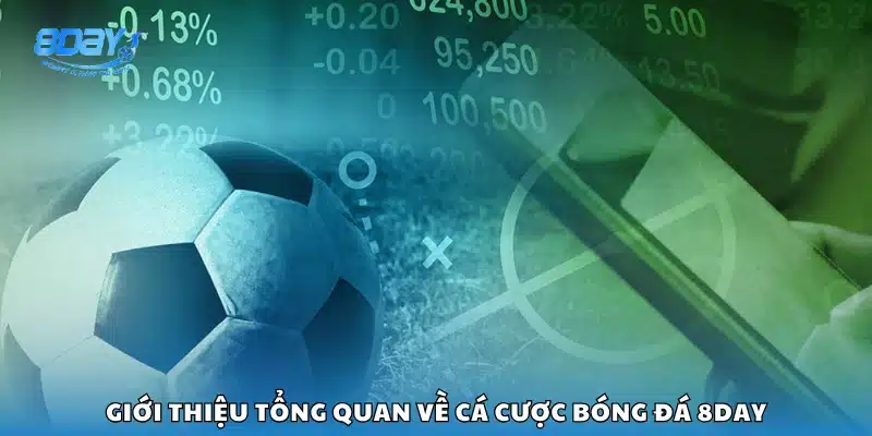 Giới thiệu tổng quan về cá cược bóng đá 8Day