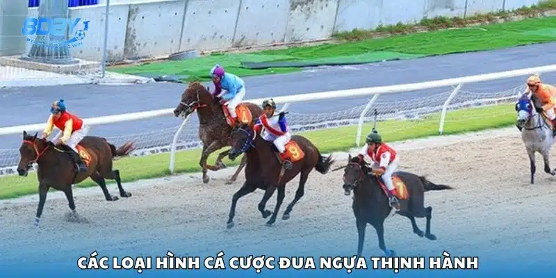 Các loại hình cá cược đua ngựa thịnh hành