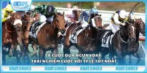 Cá cược đua ngựa 8day - Trải nghiệm cược với tỷ lệ tốt nhất