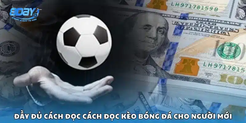 Đầy đủ cách đọc cách đọc kèo bóng đá cho người mới