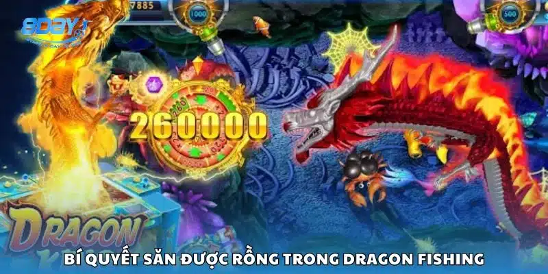 Bí quyết săn được rồng trong Dragon Fishing