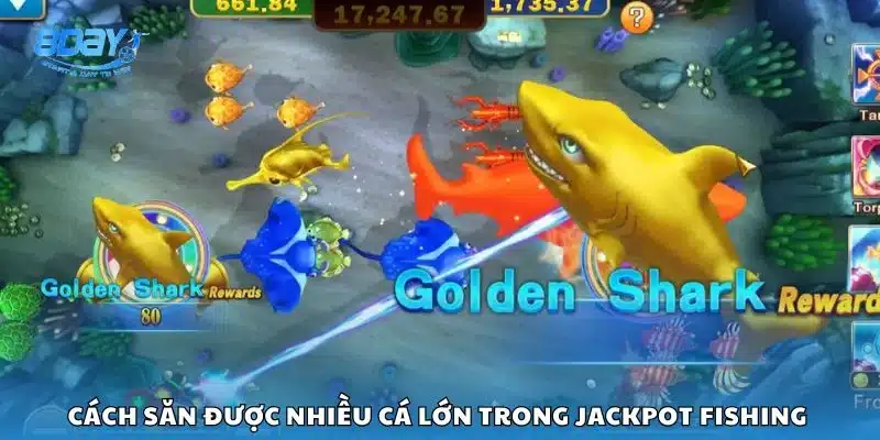 Cách săn được nhiều cá lớn trong Jackpot Fishing