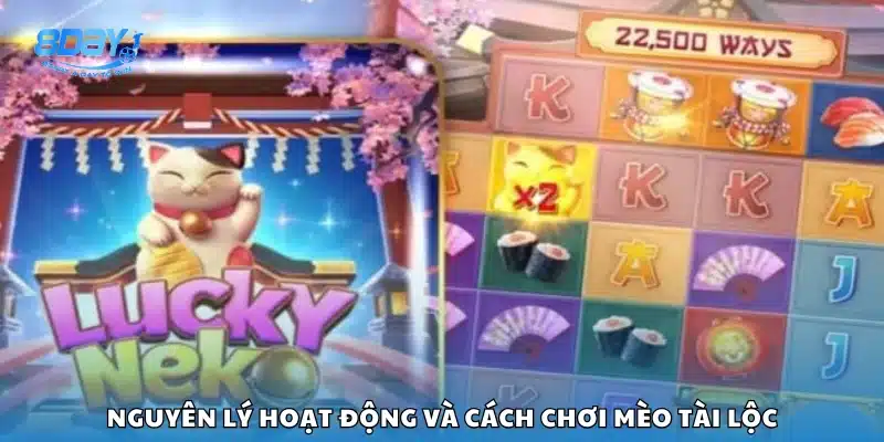Cách hoạt động và luật chơi của game Mèo Tài Lộc
